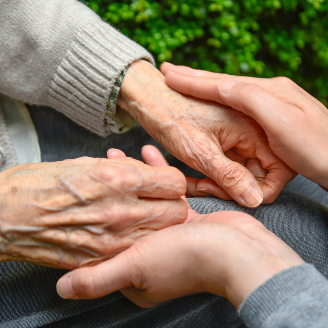 Caring for Elderly Skin: The Importance of Moisturizing with Plant-Based Solutions