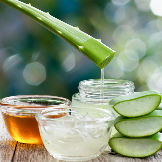 Why Plant-Based Moisturizers Are the Best Choice for Your Family’s Skin